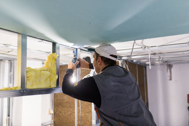 Best Geographic-Specific Insulation Services in Frederickson, WA