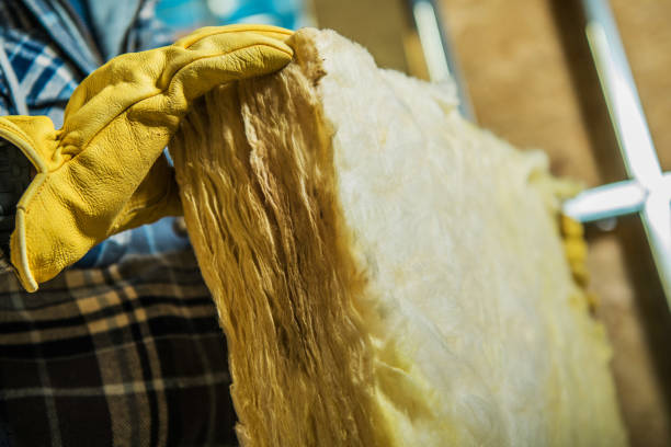Best Eco-Friendly Insulation in Frederickson, WA