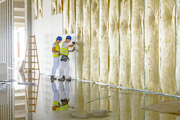 Best Insulation Maintenance and Repair in Frederickson, WA